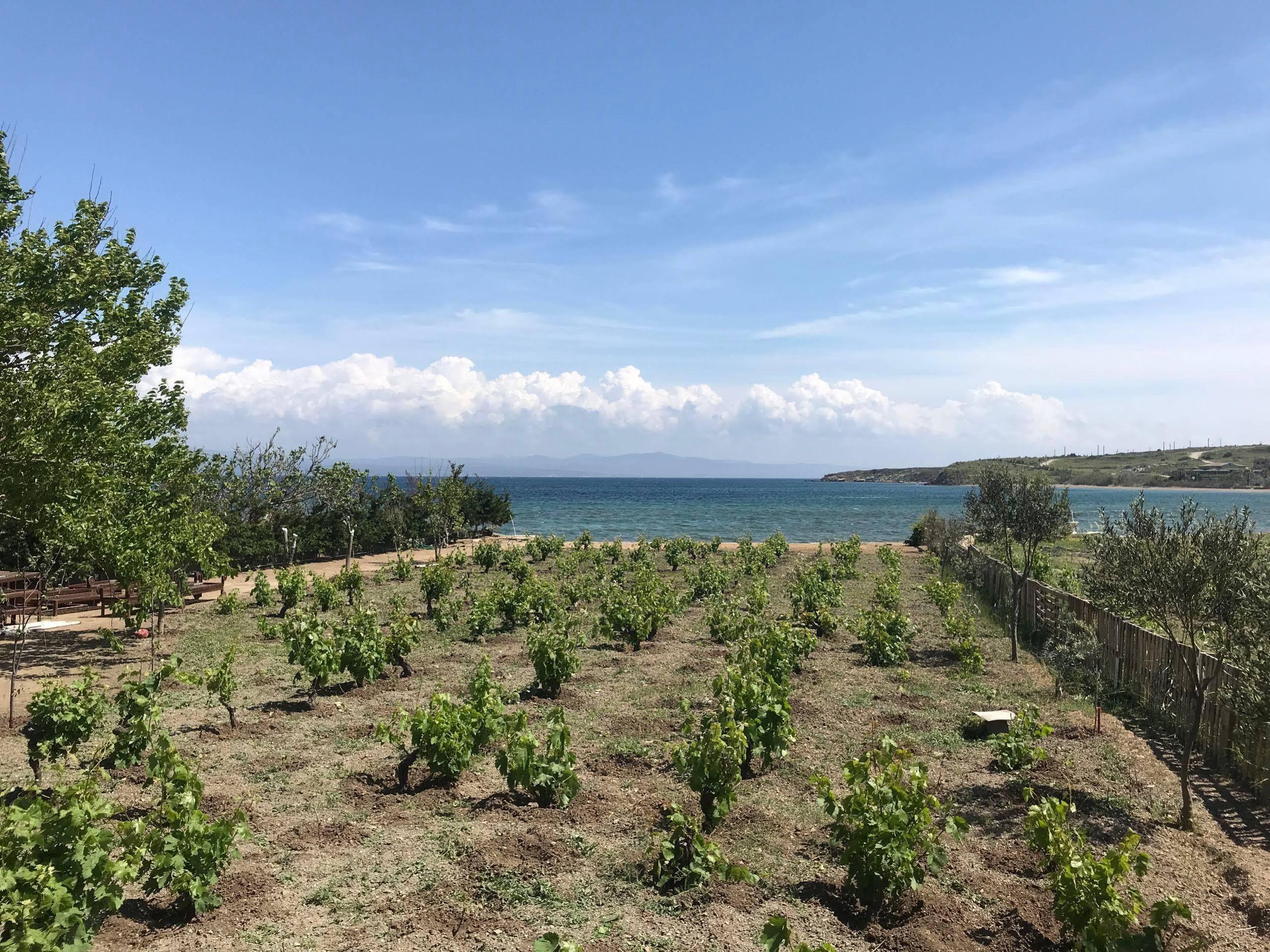 Arsipel Otel Bozcaada Kültér fotó